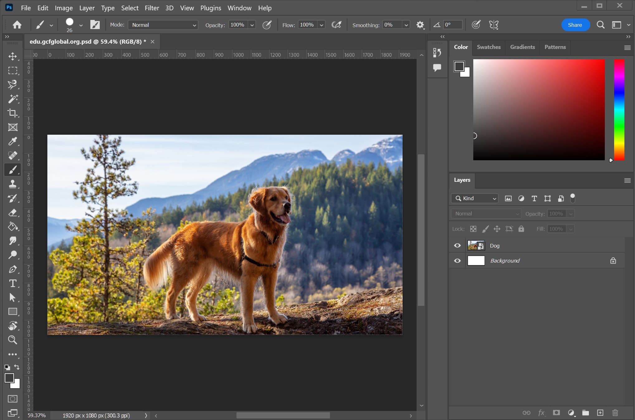 Adobe Photoshop 2026 Pro – Advanced Photo Editing Software - Image 4