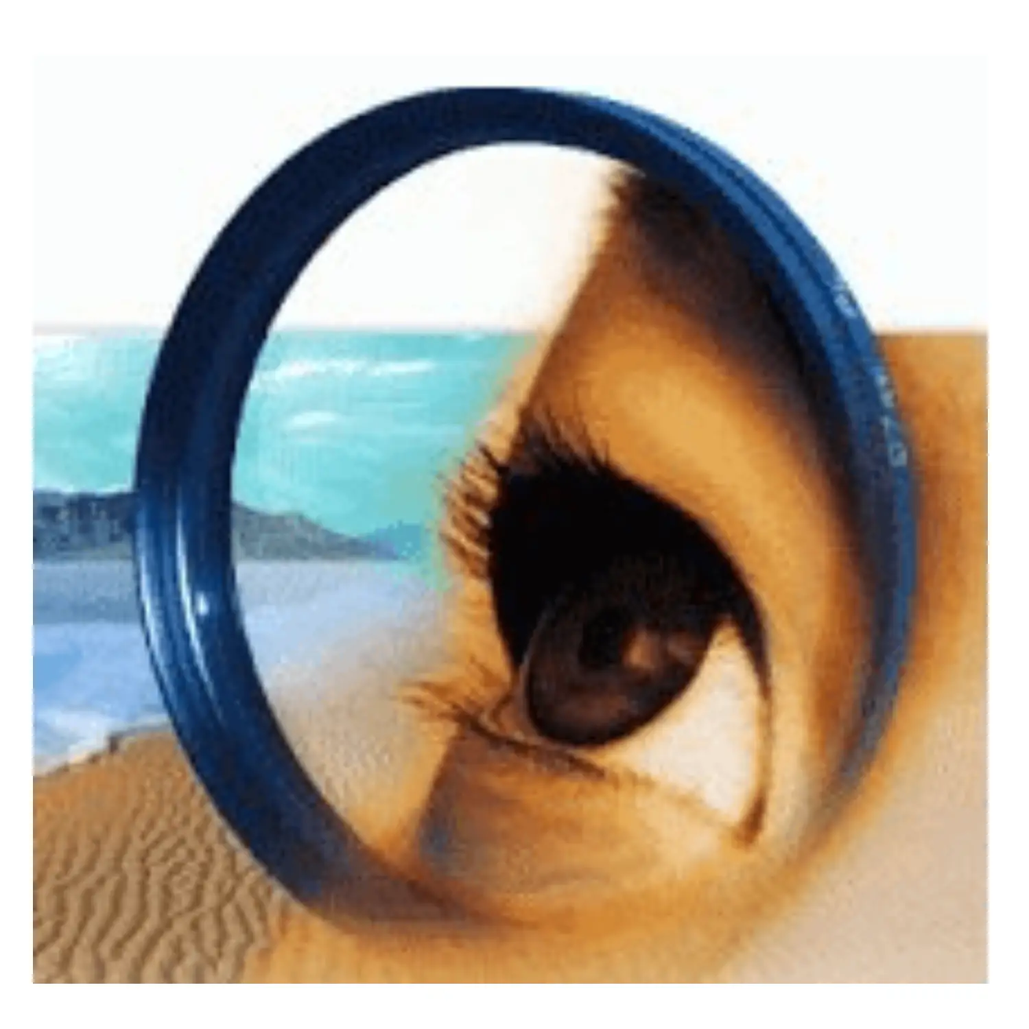 Adobe Photoshop 2026 Pro – Advanced Photo Editing Software
